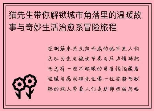 猫先生带你解锁城市角落里的温暖故事与奇妙生活治愈系冒险旅程
