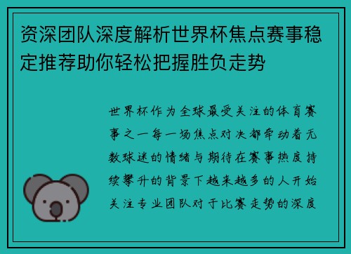 资深团队深度解析世界杯焦点赛事稳定推荐助你轻松把握胜负走势