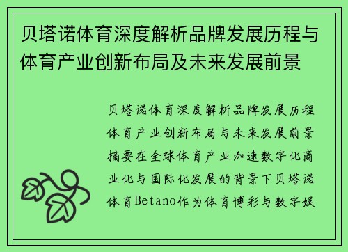 贝塔诺体育深度解析品牌发展历程与体育产业创新布局及未来发展前景